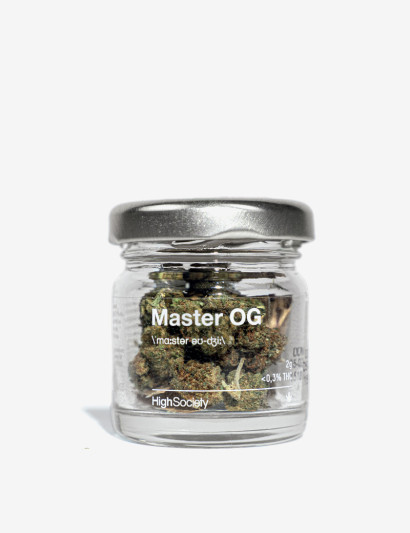 1 pot Master OG Greenhouse